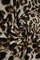 1 Yard DTY Brushed Animal Print Fabric Cheetah Leopard Soft Stretch Knit 58/60” Wide